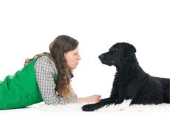 Dr. Gieren mit Hund Macy